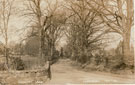 View: ch7723 Christleton