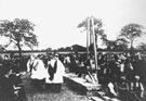 View: ch8203 Saughall