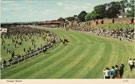 View: ch8274 Chester, Roodee Racecourse