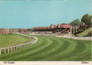 View: ch8275 Chester, The Roodee