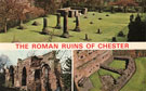 View: ch8302 Chester