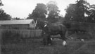 View: ch8507 Blacon Hall Farm