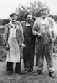 View: ch8587 Local Council Binmen
