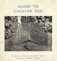 View: ch8864 Early Guide to Chester Zoo