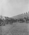 View: ch9172 Remount Unit at Linenhall. Horses going to France.