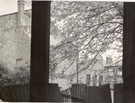 View: cn0317 Chester, Queen Street. 	