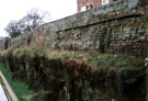 View: lb0143 Chester, City Walls	
