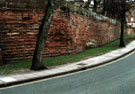 View: lb0165 Chester, City Walls	