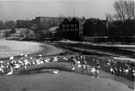 View: p0079 Chester: River Dee, Weir