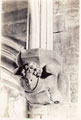 View: p0344 Decorative gargoyle in refectory in Chester Cathedral