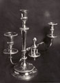 View: p1025 The Candelabra, with branch detached, 1802