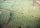 View: p1761 Unidentified aerial view of ridge and furrow.