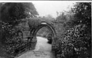 View: p1870 Chester, Grosvenor Park, Chester