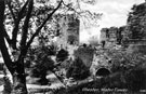View: p1882 Chester, City Walls	