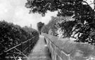 View: p1905 Chester, City Walls	